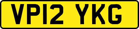 VP12YKG