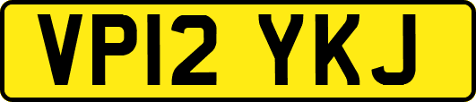 VP12YKJ