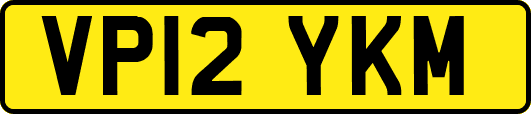 VP12YKM