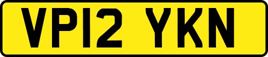 VP12YKN