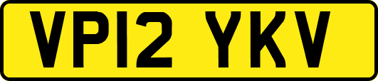 VP12YKV