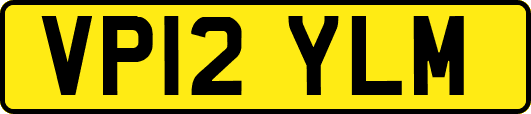 VP12YLM