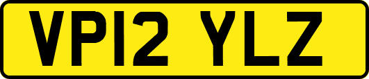 VP12YLZ