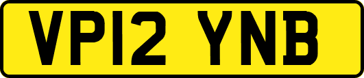 VP12YNB