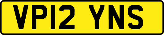 VP12YNS
