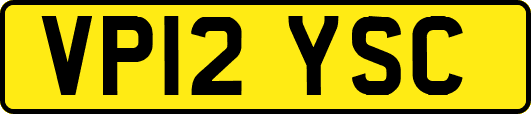 VP12YSC