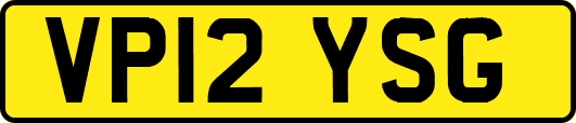 VP12YSG