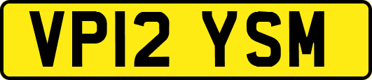VP12YSM