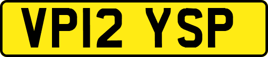 VP12YSP