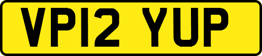VP12YUP