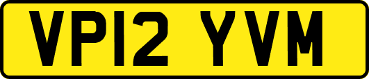 VP12YVM