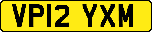 VP12YXM