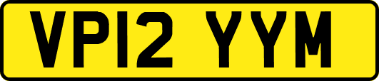 VP12YYM