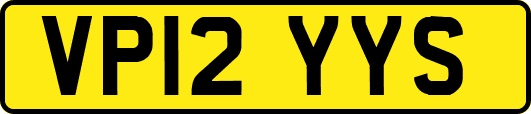 VP12YYS