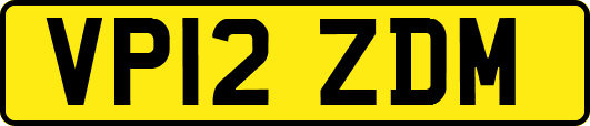 VP12ZDM