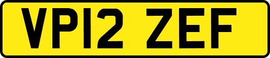 VP12ZEF