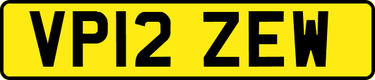 VP12ZEW
