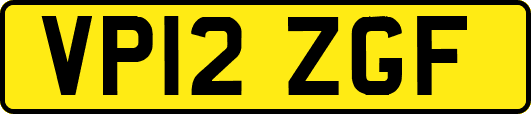 VP12ZGF