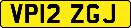 VP12ZGJ
