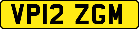 VP12ZGM
