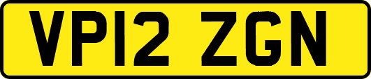 VP12ZGN
