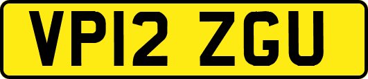 VP12ZGU
