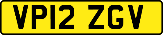 VP12ZGV