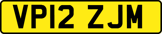 VP12ZJM