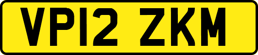 VP12ZKM