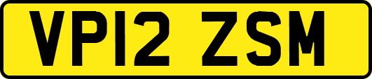 VP12ZSM