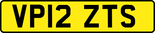 VP12ZTS