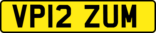 VP12ZUM