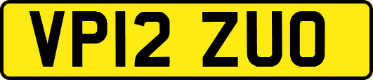 VP12ZUO