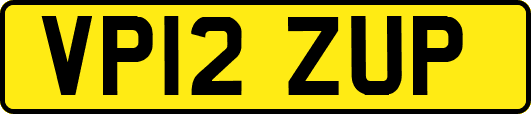 VP12ZUP