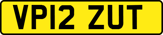 VP12ZUT