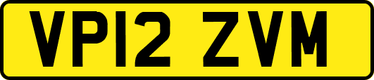 VP12ZVM