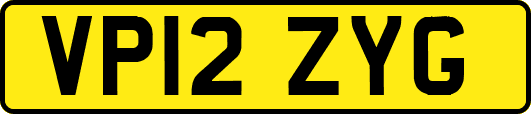 VP12ZYG