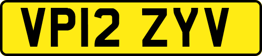 VP12ZYV