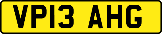 VP13AHG