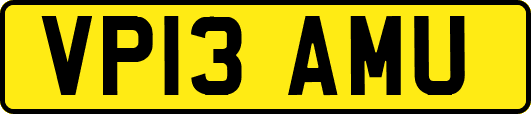 VP13AMU