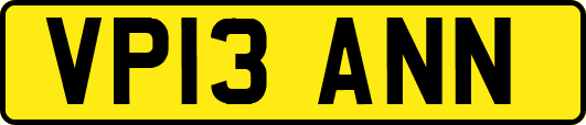 VP13ANN