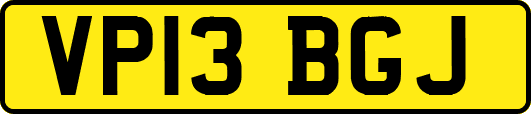 VP13BGJ