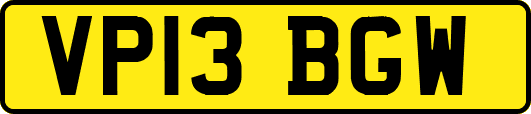 VP13BGW