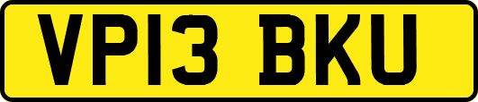 VP13BKU
