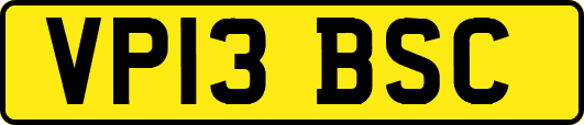 VP13BSC