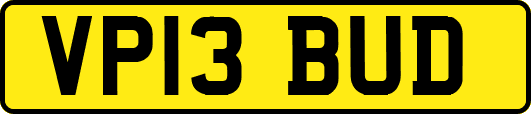 VP13BUD