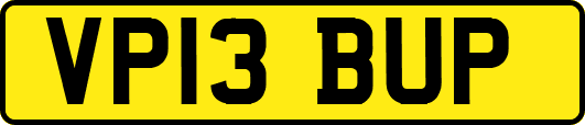 VP13BUP