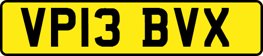 VP13BVX