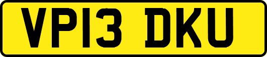 VP13DKU
