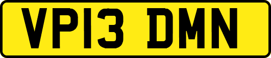 VP13DMN